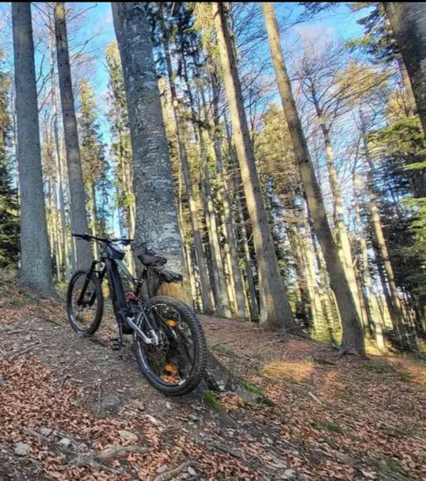 Apartamento Forest Pohorje Hočko Pohorje