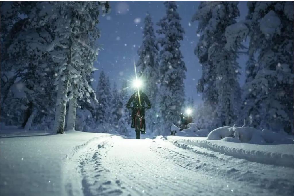 Forest Pohorje * Hočko Pohorje